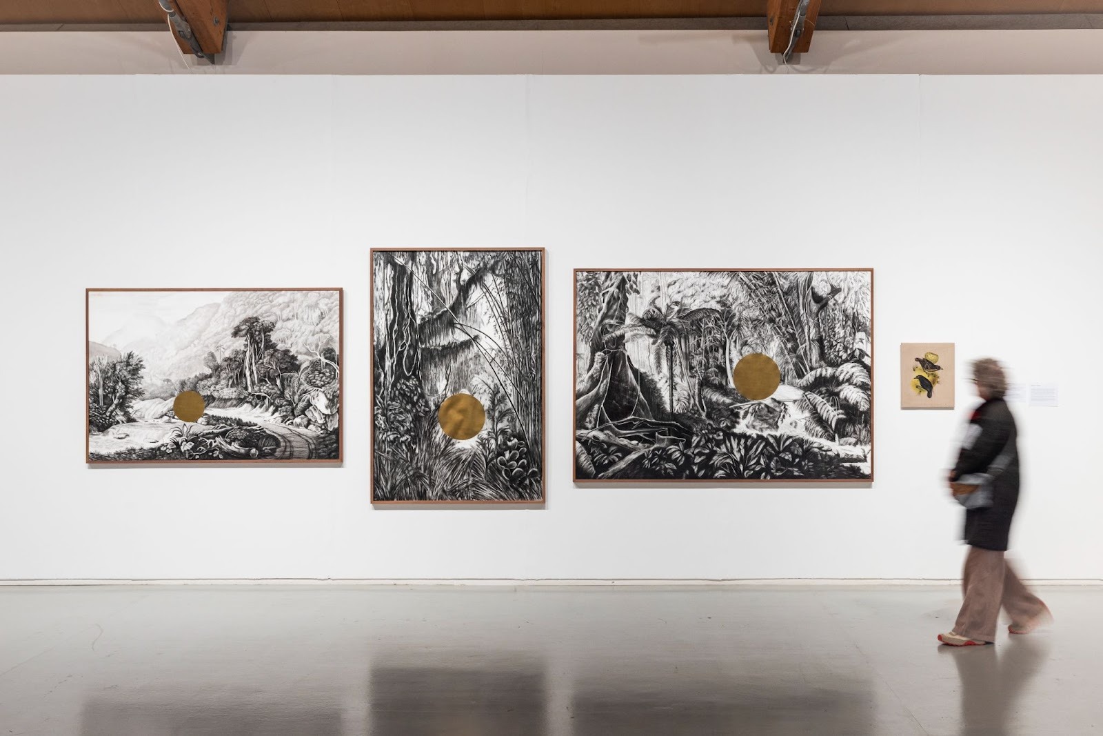 Retrato de Gabriela Bettini, por IDC Studio en Matadero Madrid. Obra de Bettini en «Extractivismes: exposició col·lectiva». 13a Biennal d’Art Leandre Cristòfol, La Panera, Lleida. , por Jordi Rullo.